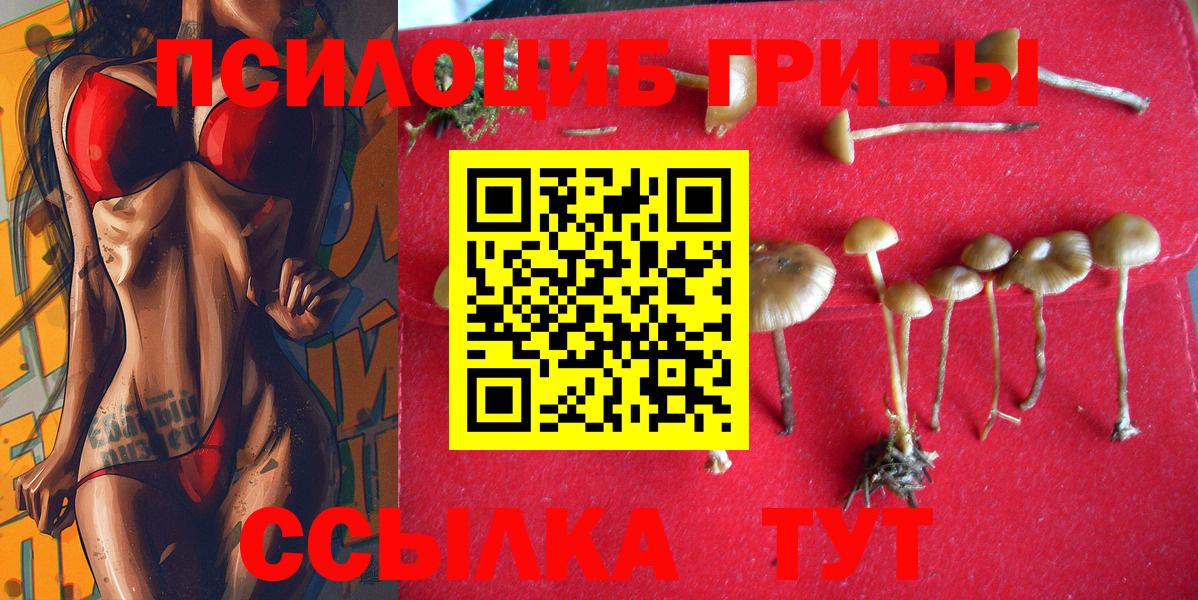 Галлюциногенные грибы MAGIC MUSHROOMS  Вход с VPN  Павловский Посад  Галлюциногенные грибы Psilocybine cubensis 